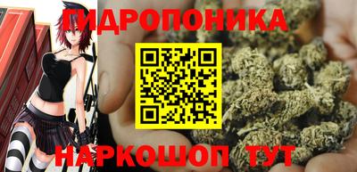 твердый Гатчина